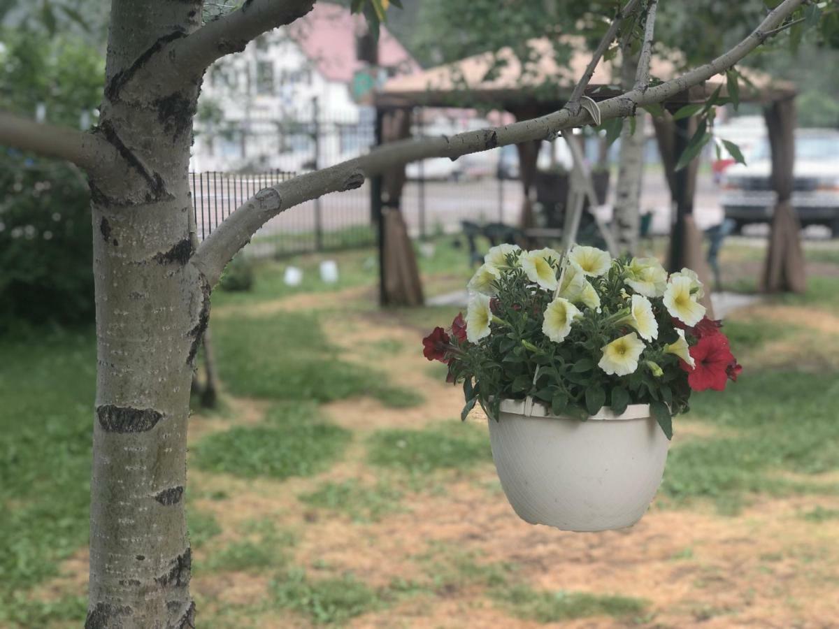 Dallavalle Bed and breakfast